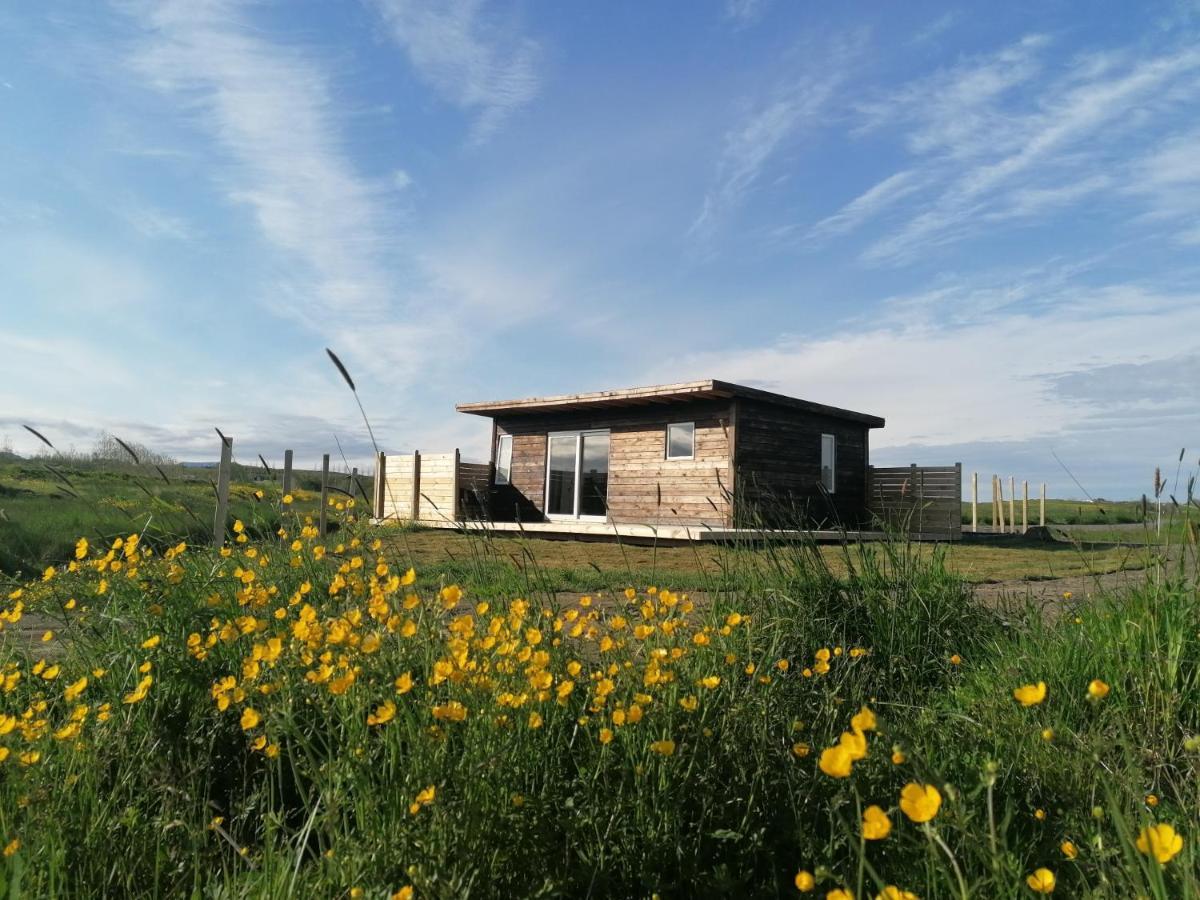 Blackwood Cottage Near Geysir 레이크홀트 외부 사진